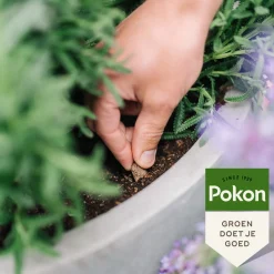 Pokon Bio Terras en Balkonplanten voeding Langwerkende kegels 40 stuks