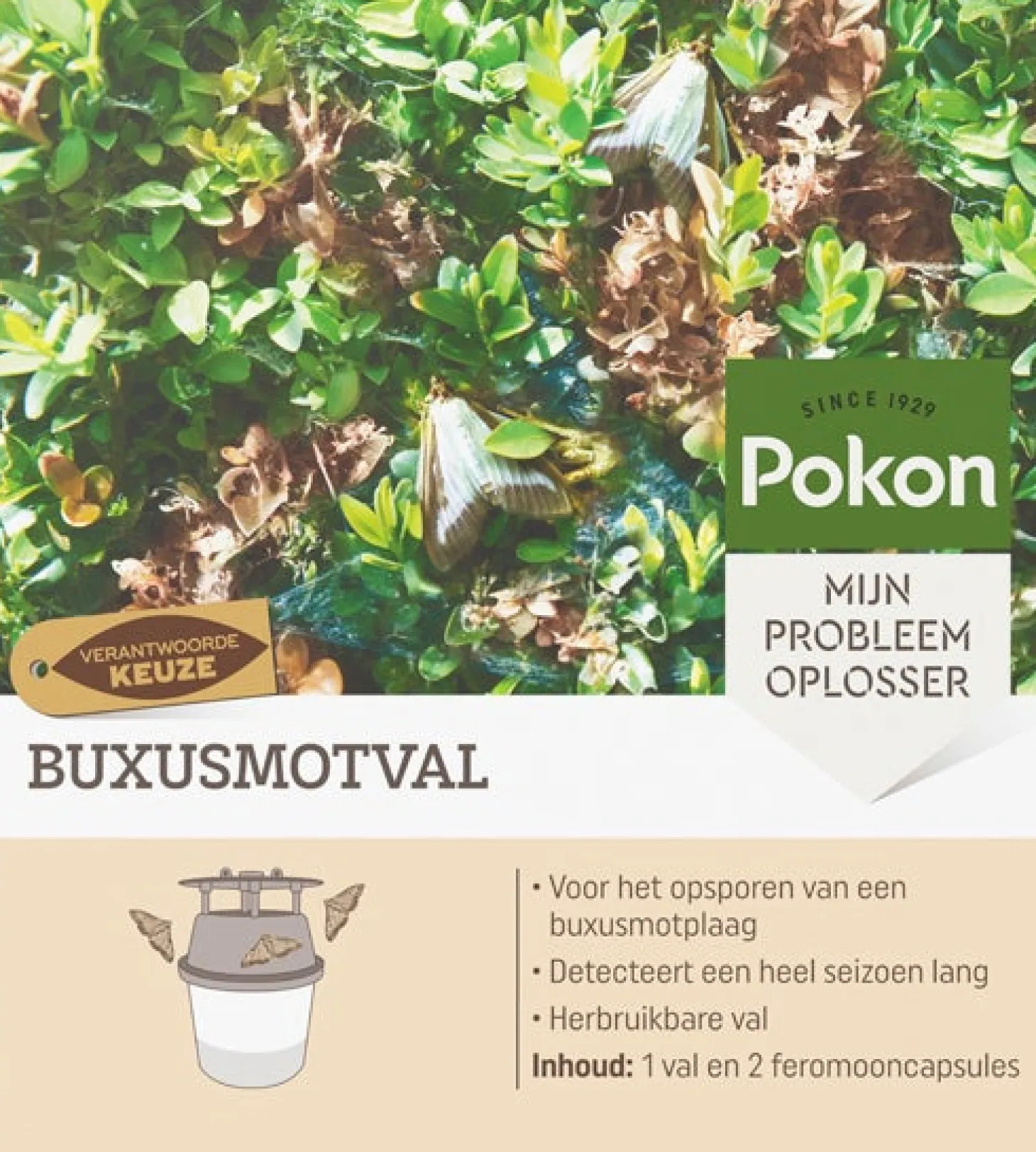Pokon Buxusmotval