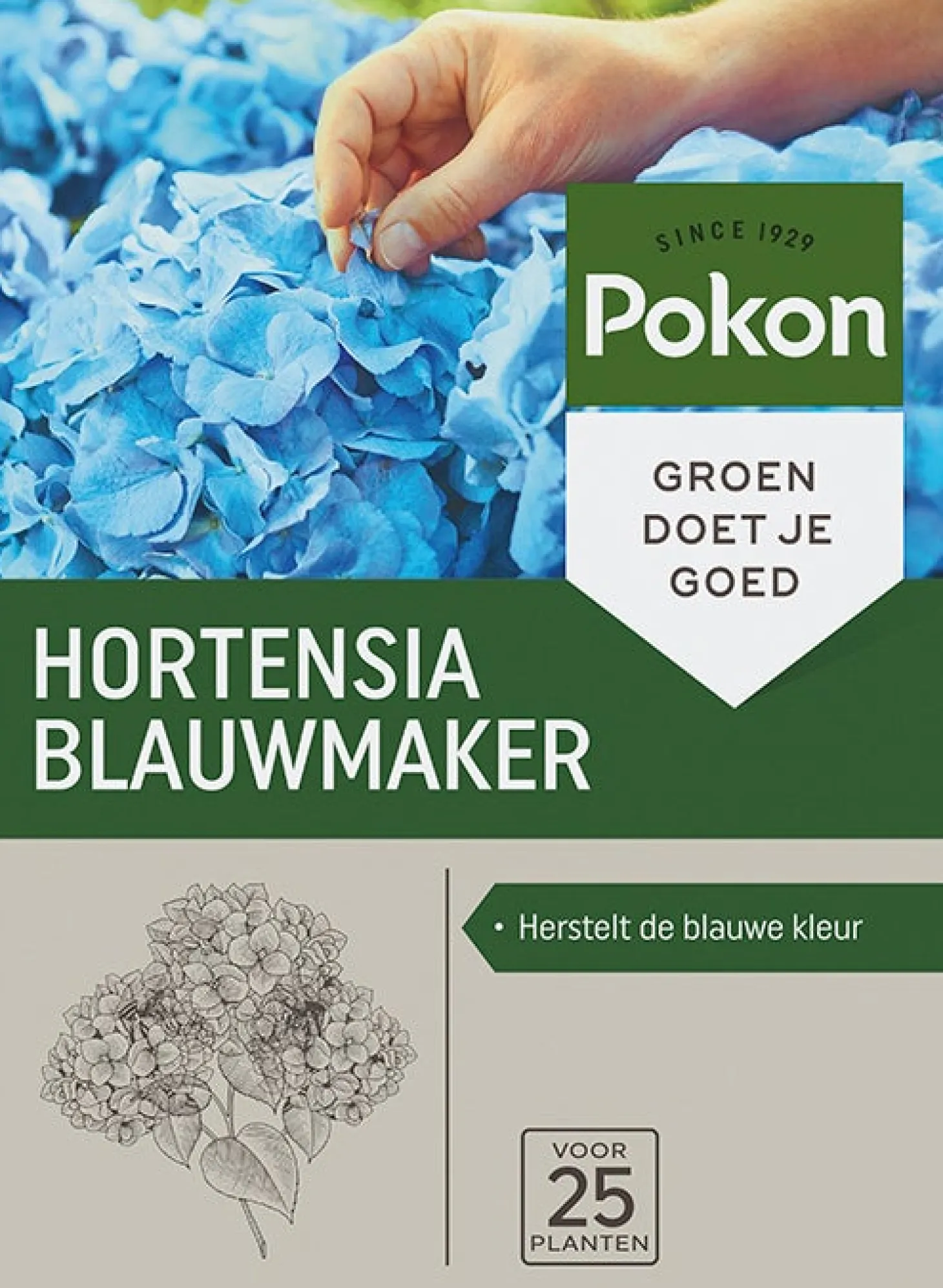 Pokon hortensia blauwmaker 500 g
