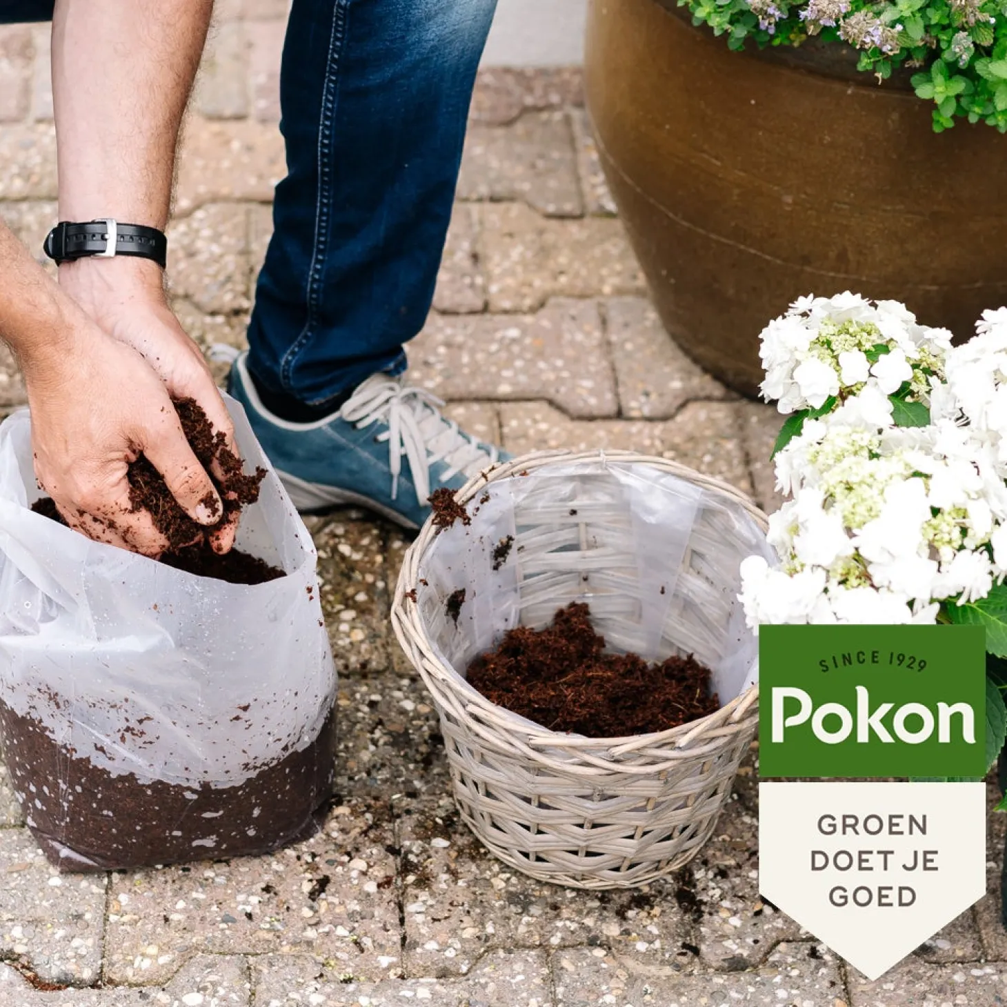 Pokon kokos compact 10 L