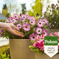 Pokon langwerkende voedingskorrels 1650 g