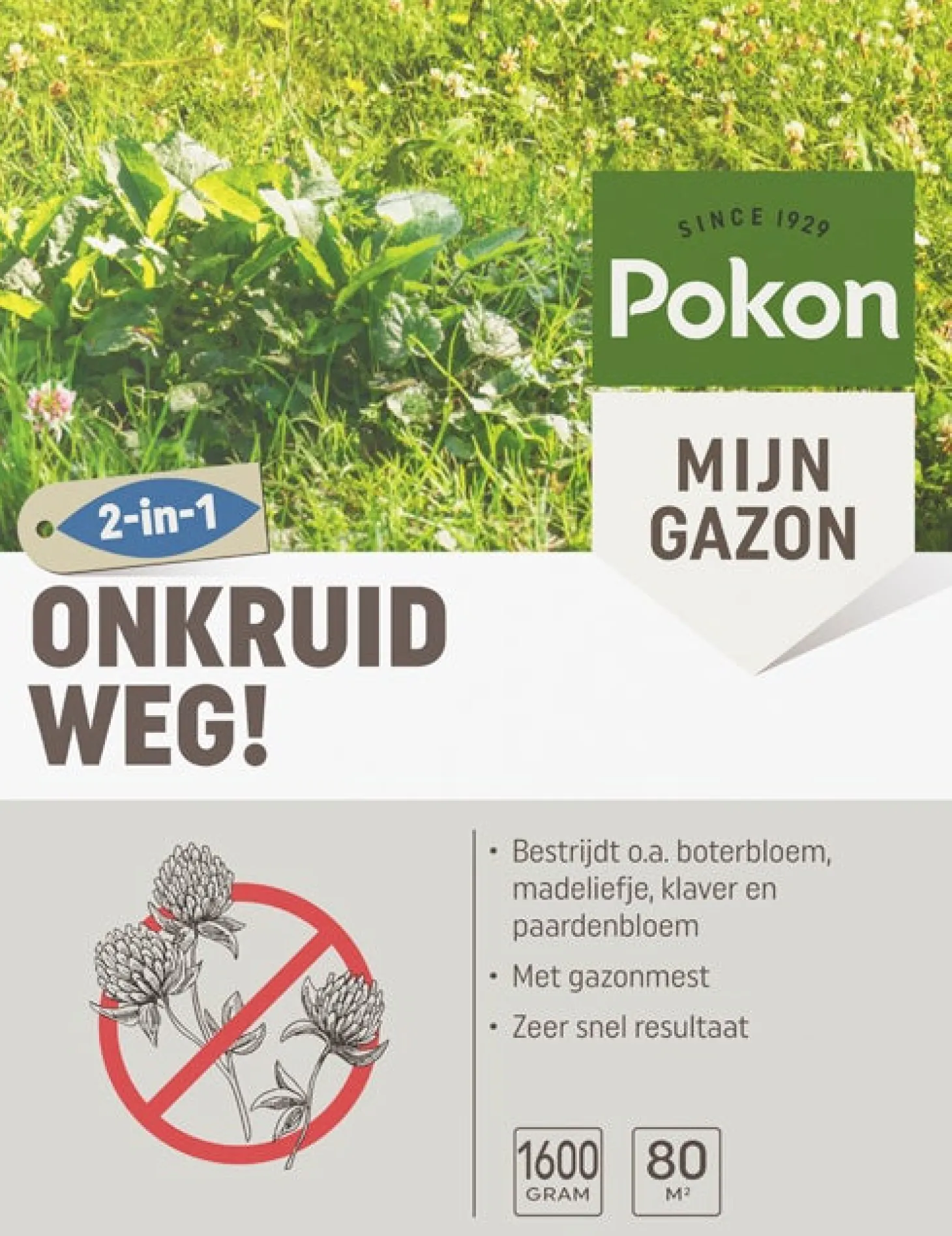 Pokon Onkruid Weg voor 80 m2