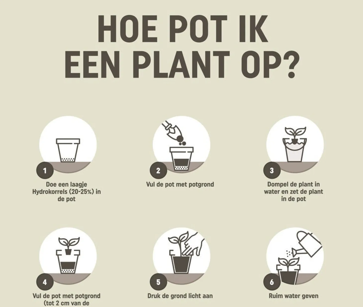Pokon palmen potgrond 10 L