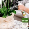 Pokon powerspray orchidee 300 ml