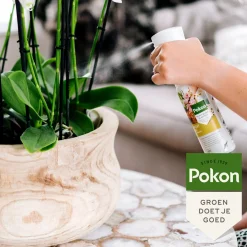 Pokon powerspray orchidee 300 ml