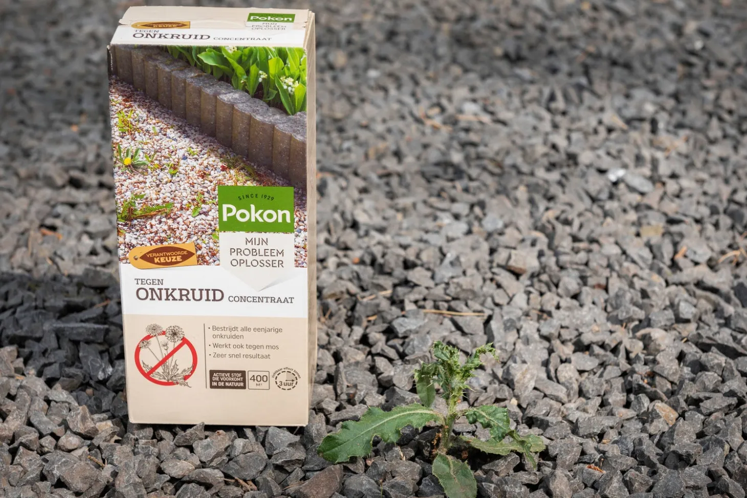 Pokon Tegen Onkruid concentraat 225 ml