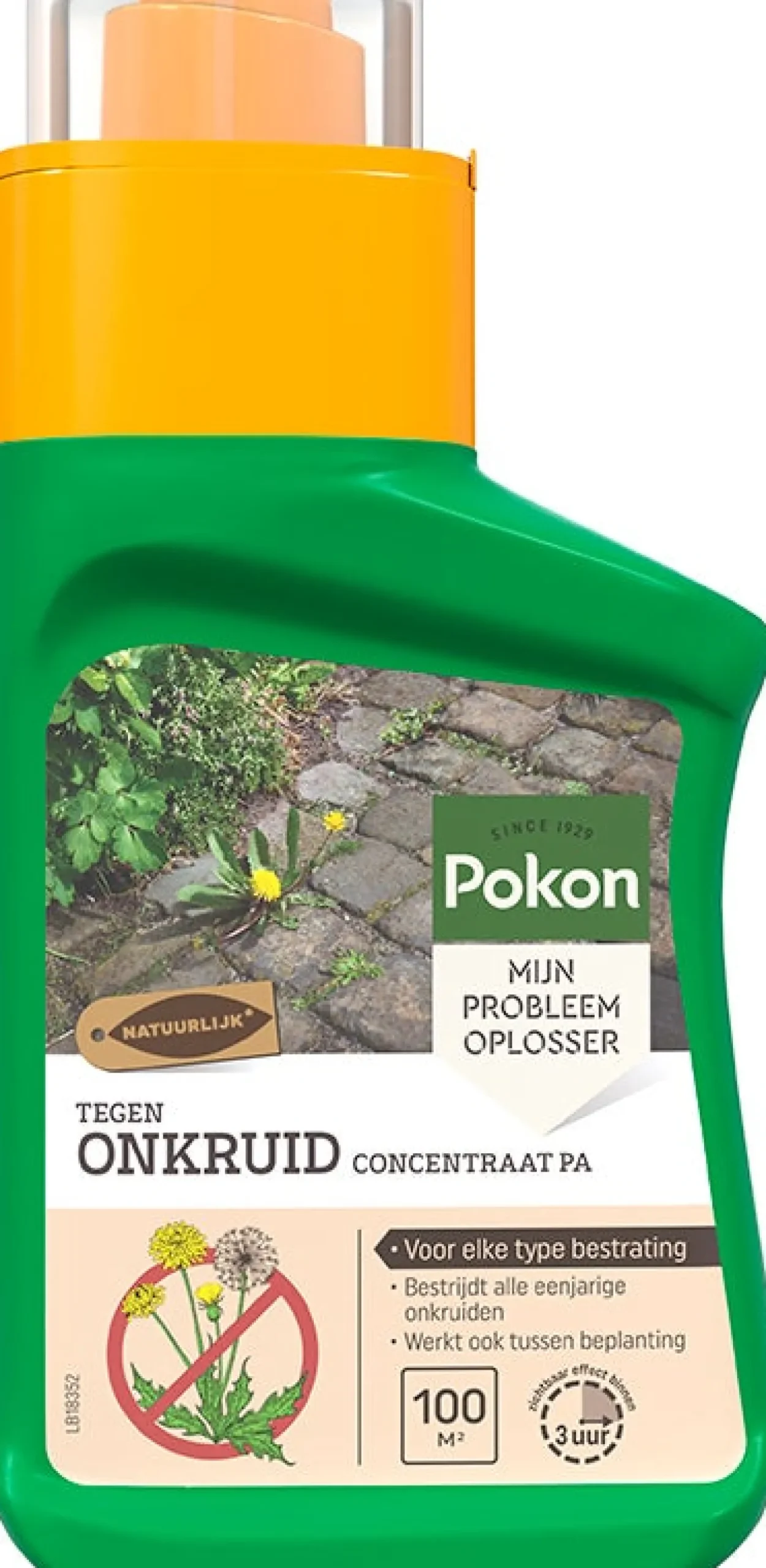 Pokon tegen onkruid concentraat 225 ML