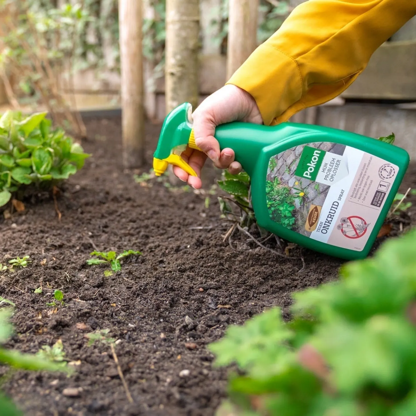 Pokon Tegen Onkruid spray 1 L