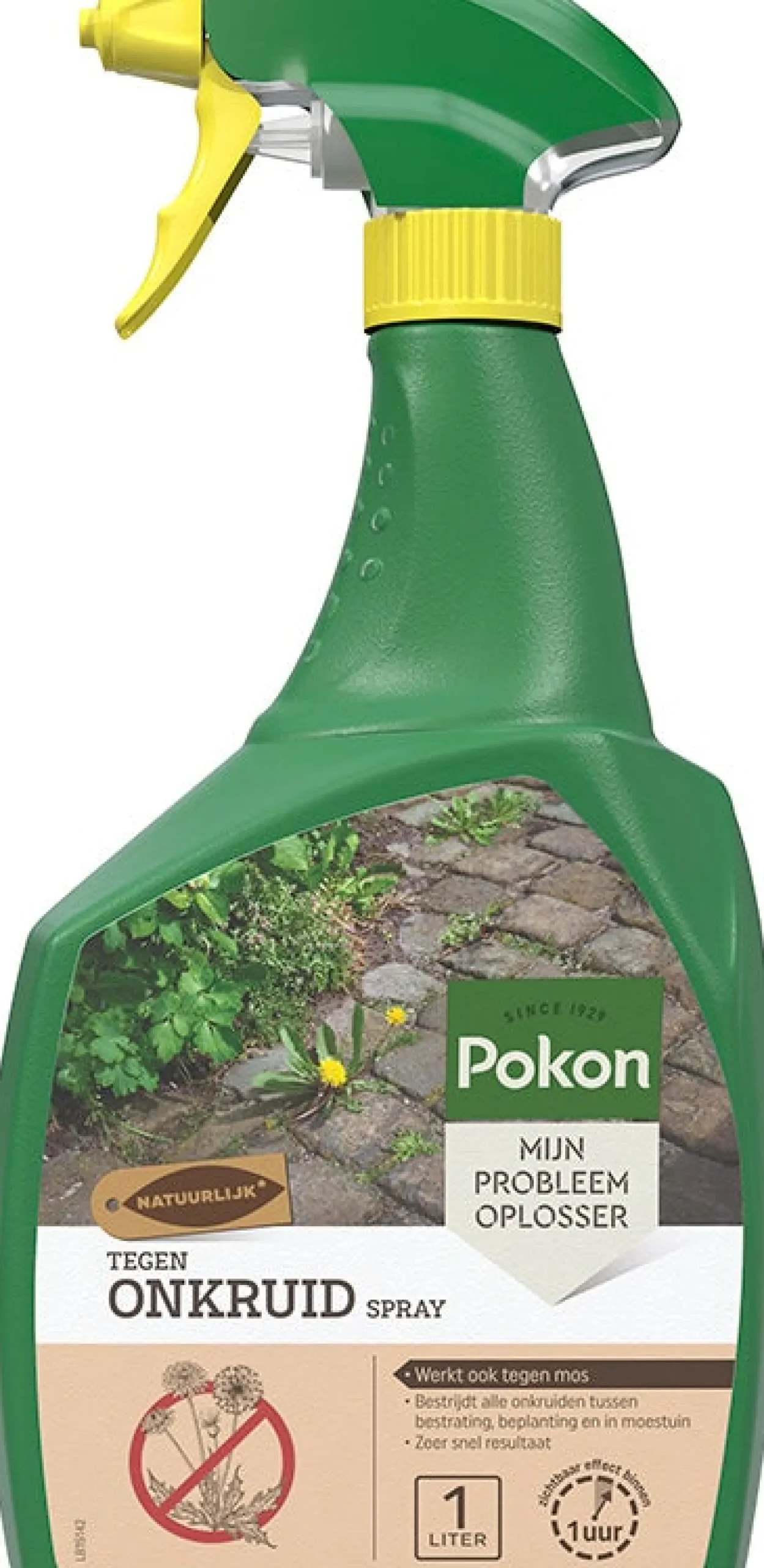 Pokon Tegen Onkruid spray 1 L