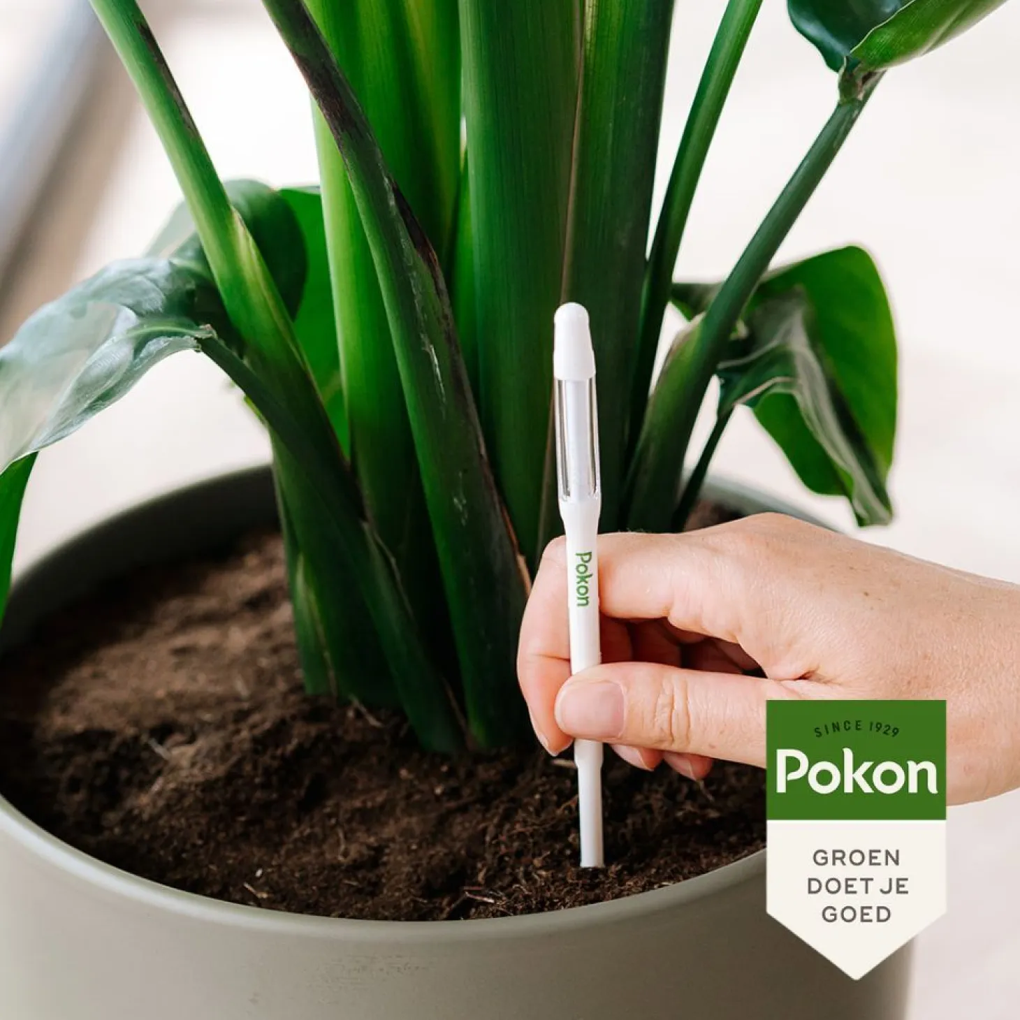 Pokon Watermeter 23 x 6,4 x 1 cm