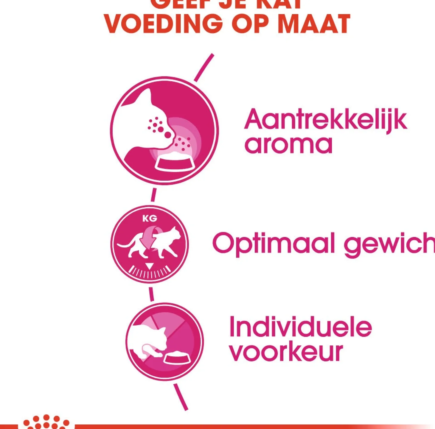 Royal Canin kattenvoer Aroma Exigent 2 kg
