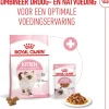 Royal Canin kattenvoer kitten 2 kg