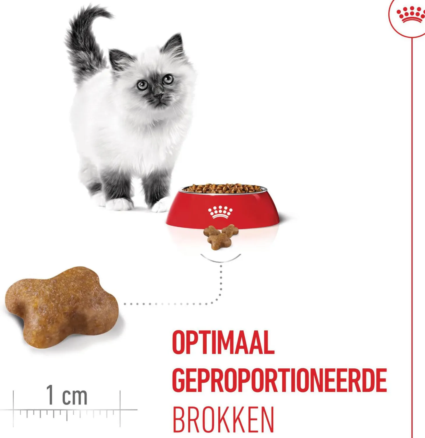 Royal Canin kattenvoer kitten 4 kg