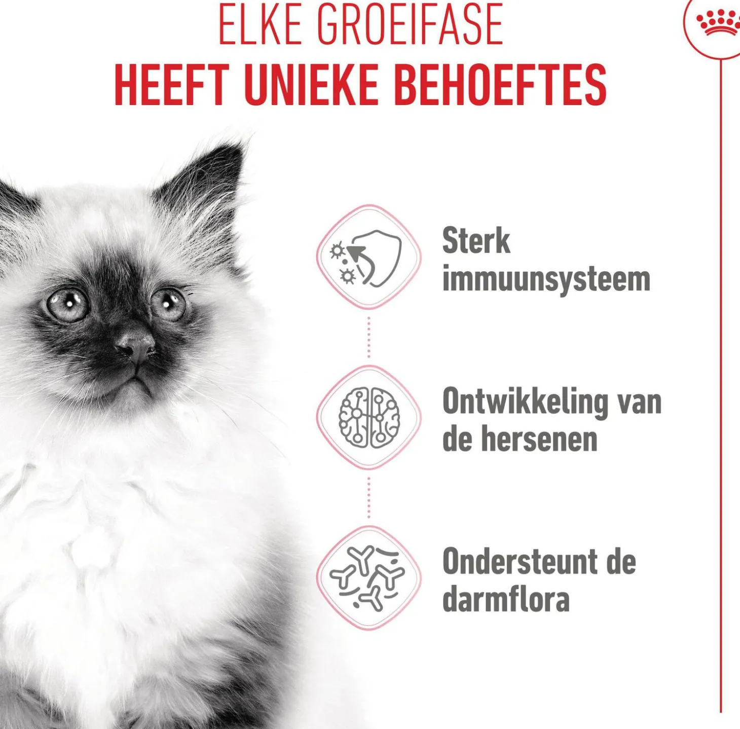 Royal Canin kattenvoer kitten 10 kg