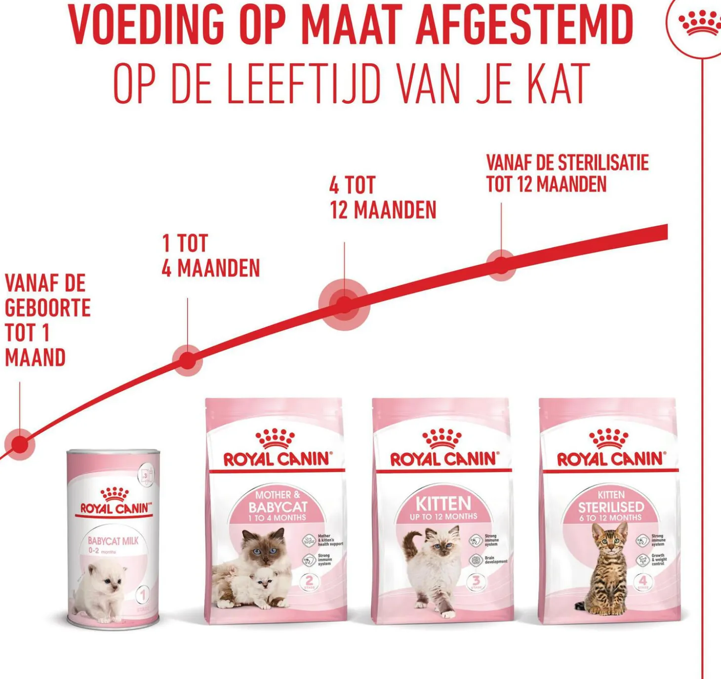 Royal Canin kattenvoer kitten 10 kg