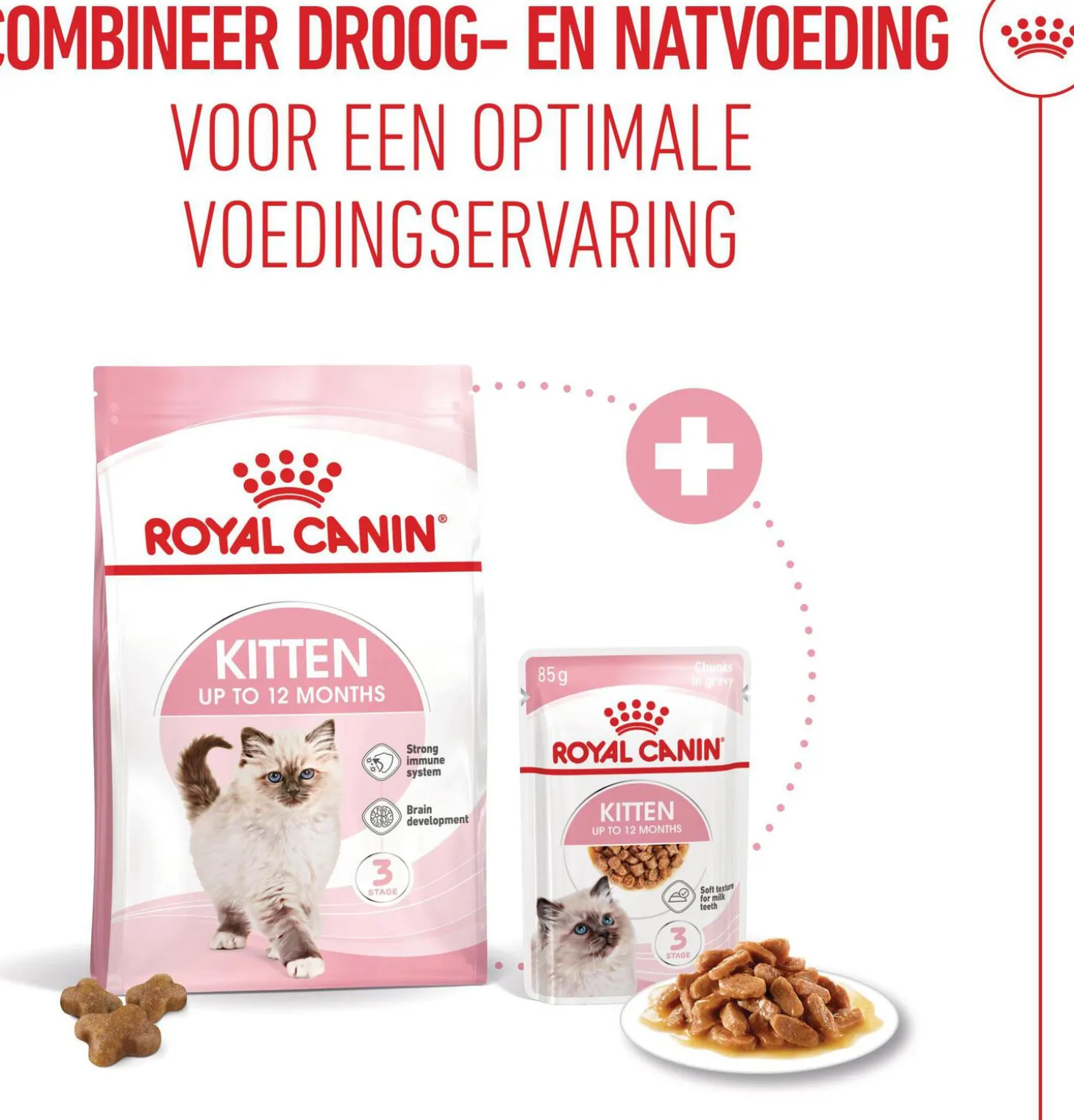 Royal Canin kattenvoer kitten 10 kg