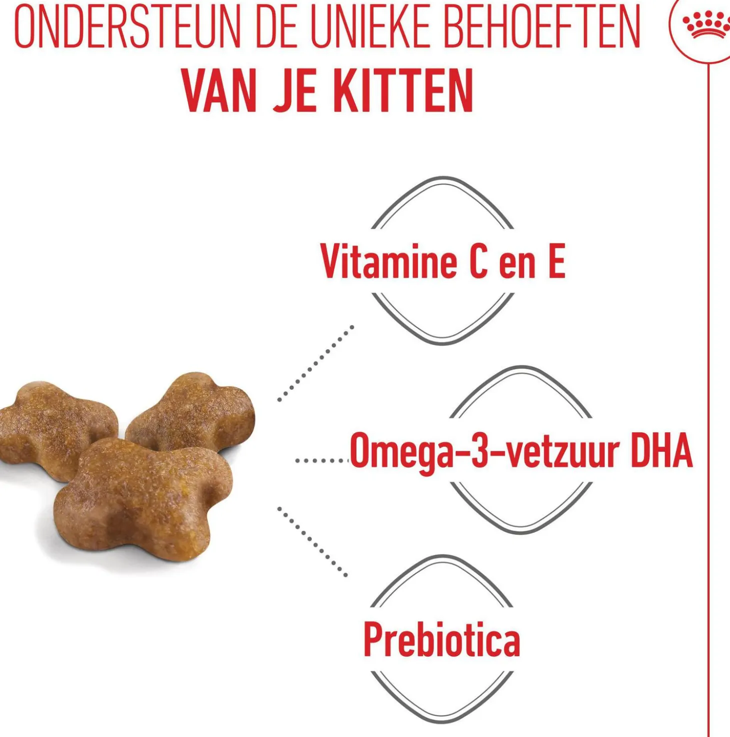 Royal Canin kattenvoer kitten 10 kg