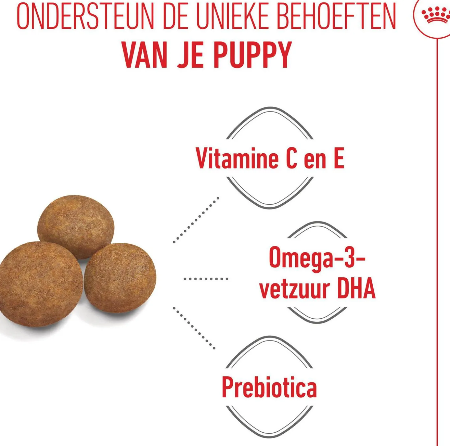 Royal Canin Maxi Puppy 4 kg