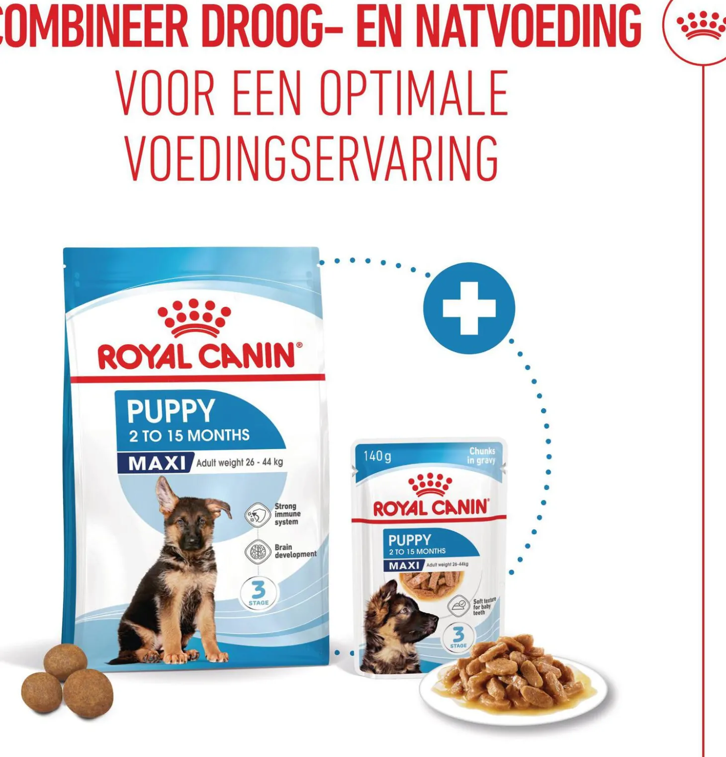 Royal Canin Maxi Puppy 4 kg