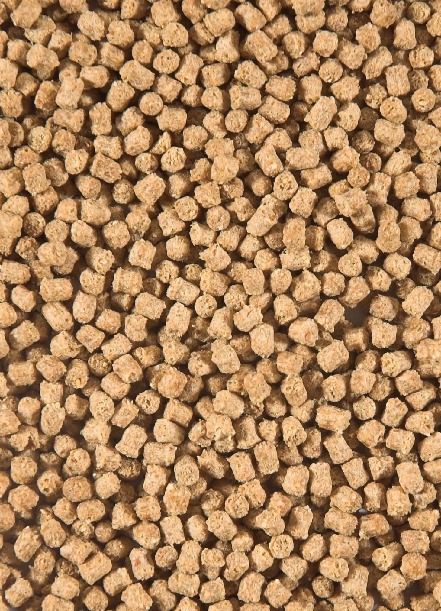 Sanikoi visvoer Winter Wheat 3 mm 3 L