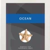ScentChips ScentOil smooth surfer - ocean shore 475ml