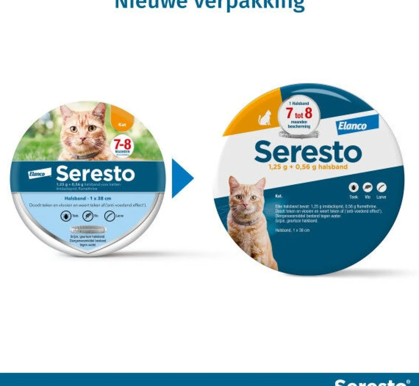 Seresto vlooienband kat 38 cm