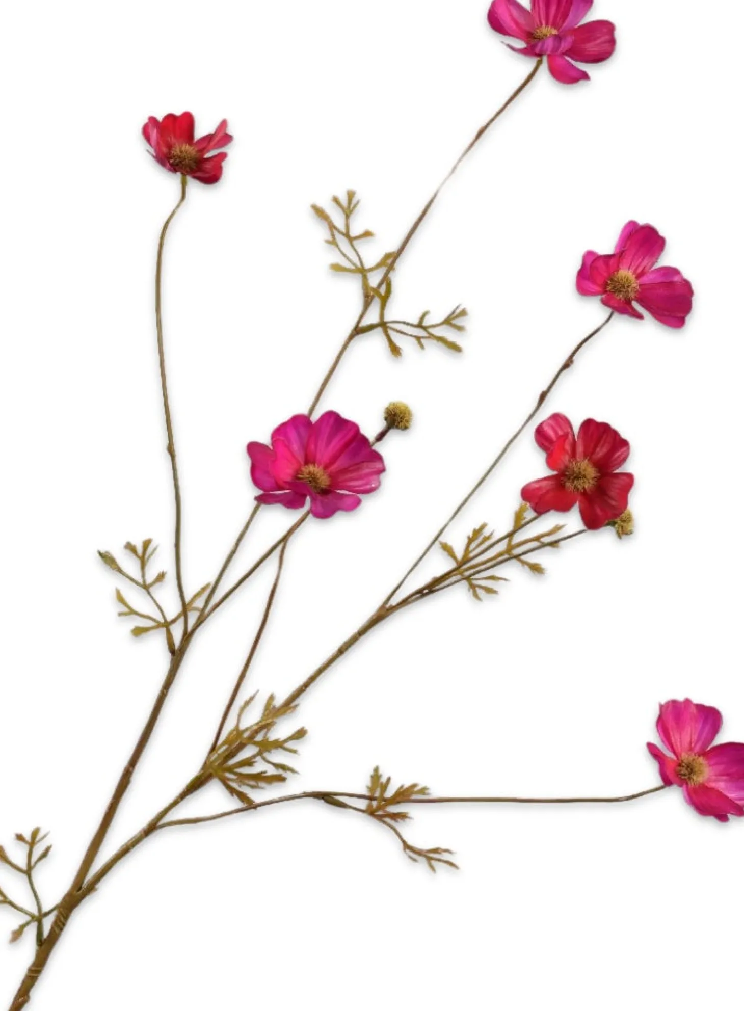 Silk-ka kunstbloem Cosmea rood / roze 77 cm
