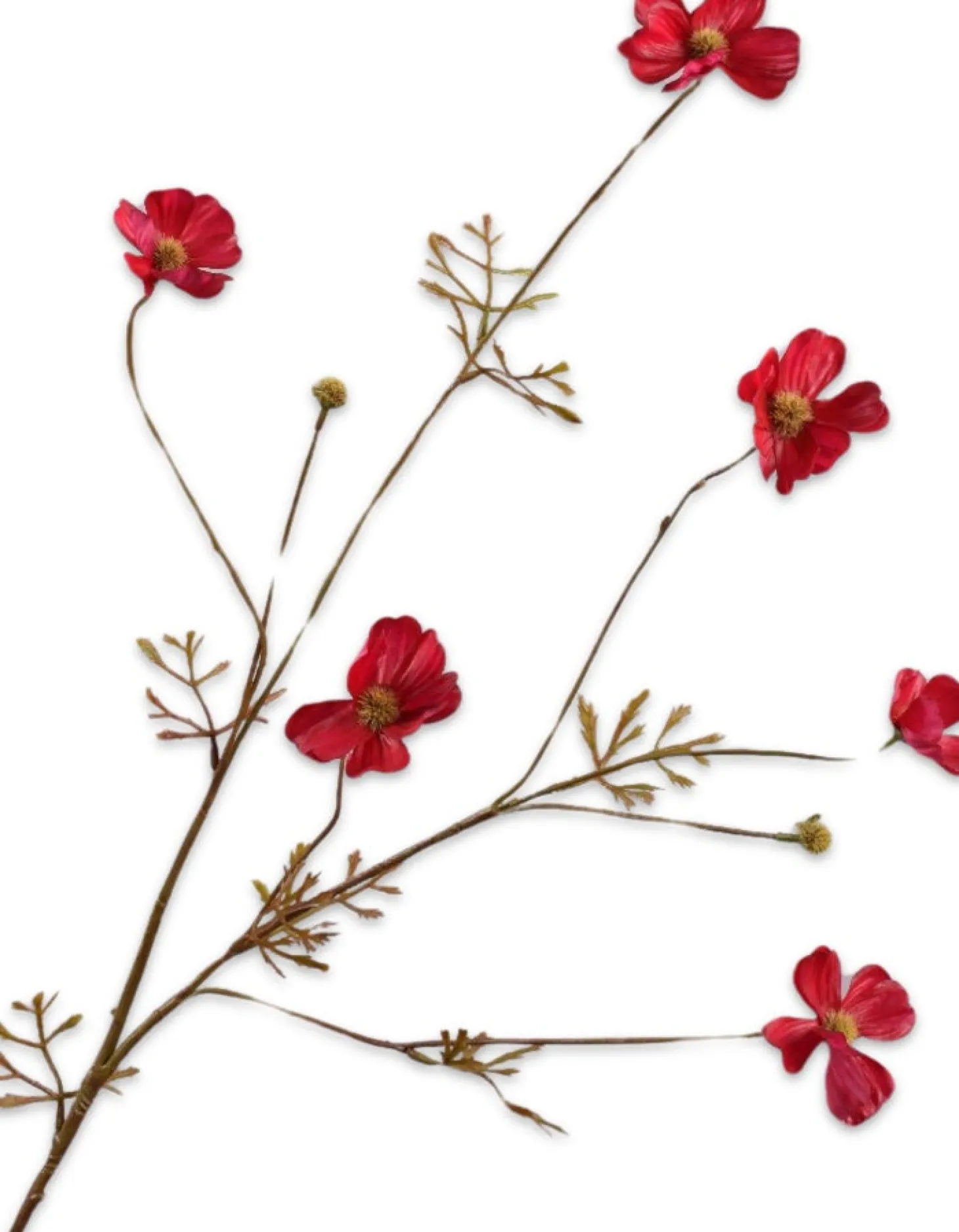 Silk-ka kunstbloem Cosmea rood 77 cm
