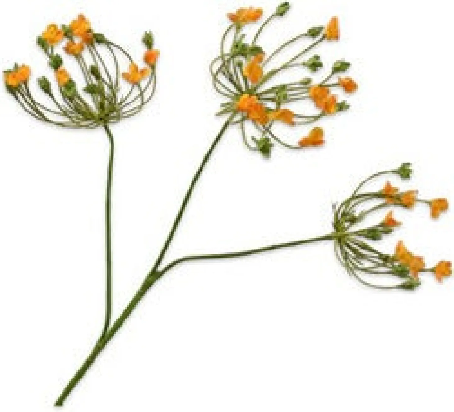 Silk-ka kunstbloem Dille oranje 83 cm