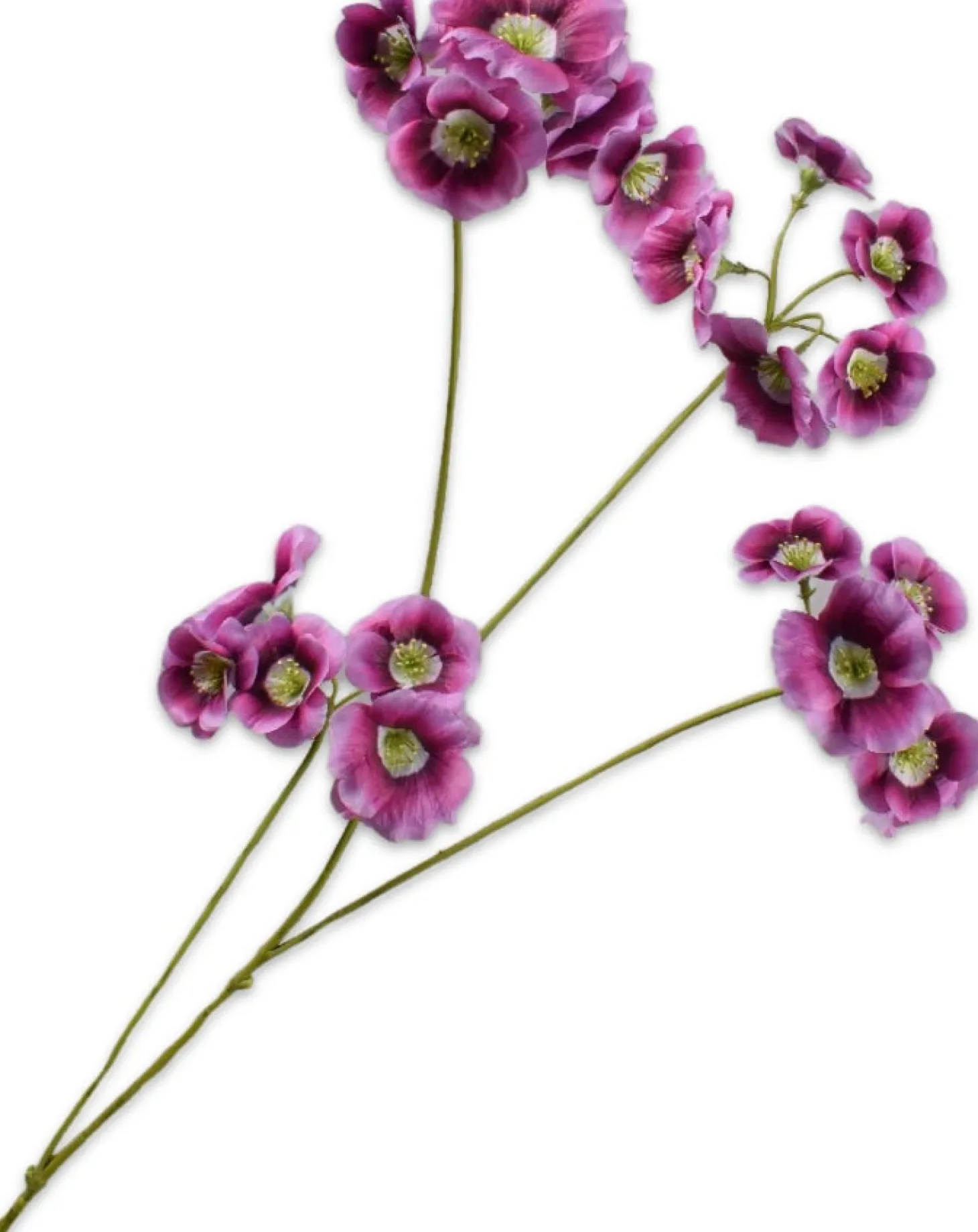 Silk-ka kunstbloem Elaeocarpus roze 78 cm