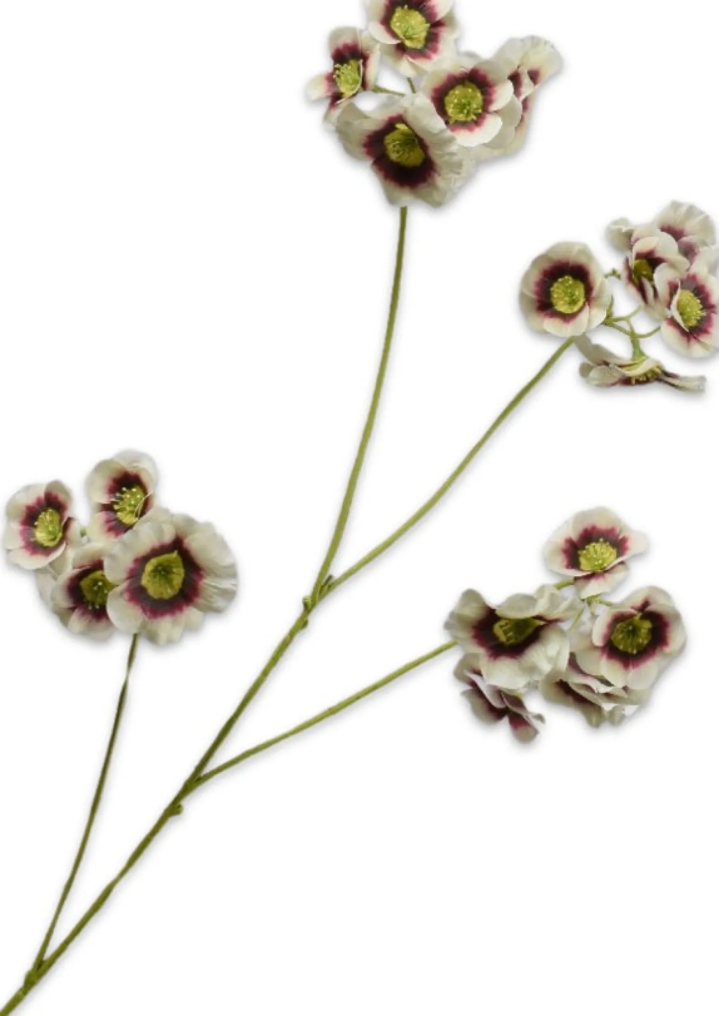 Silk-ka kunstbloem Elaeocarpus wit / roze 78 cm