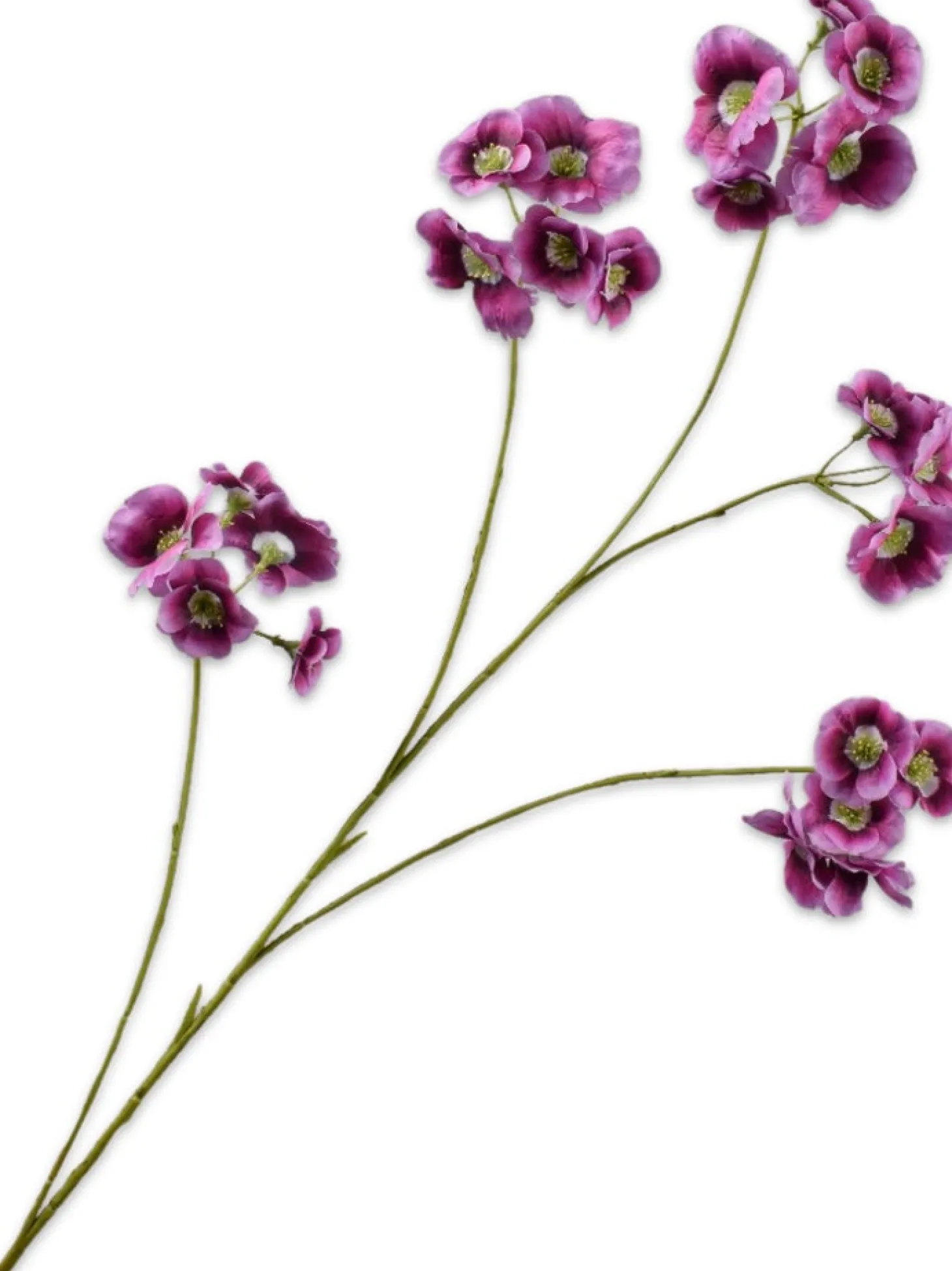 Silk-ka kunstbloem Elaeocarpus roze 109 cm