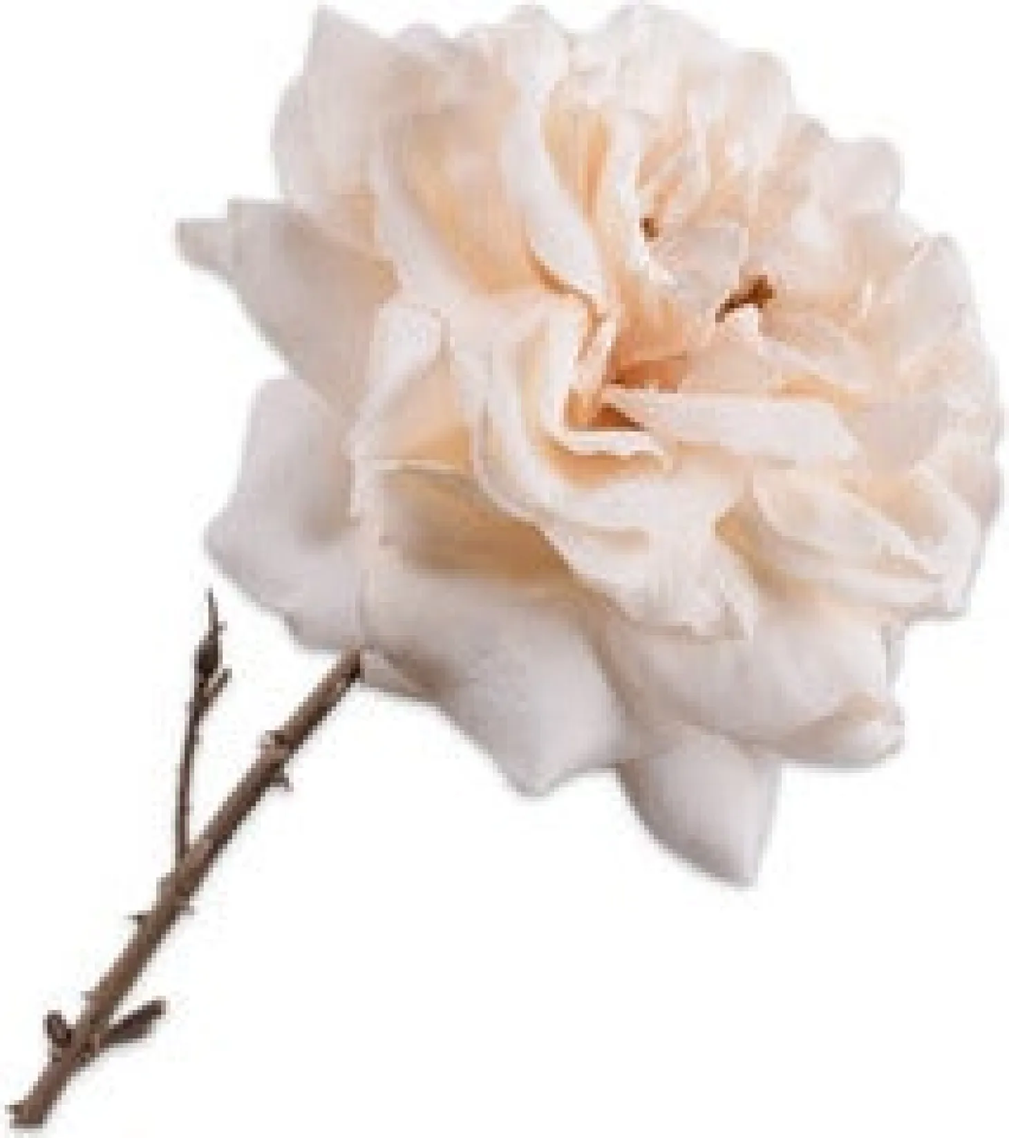Silk-ka kunstbloem Roos crème 76 cm