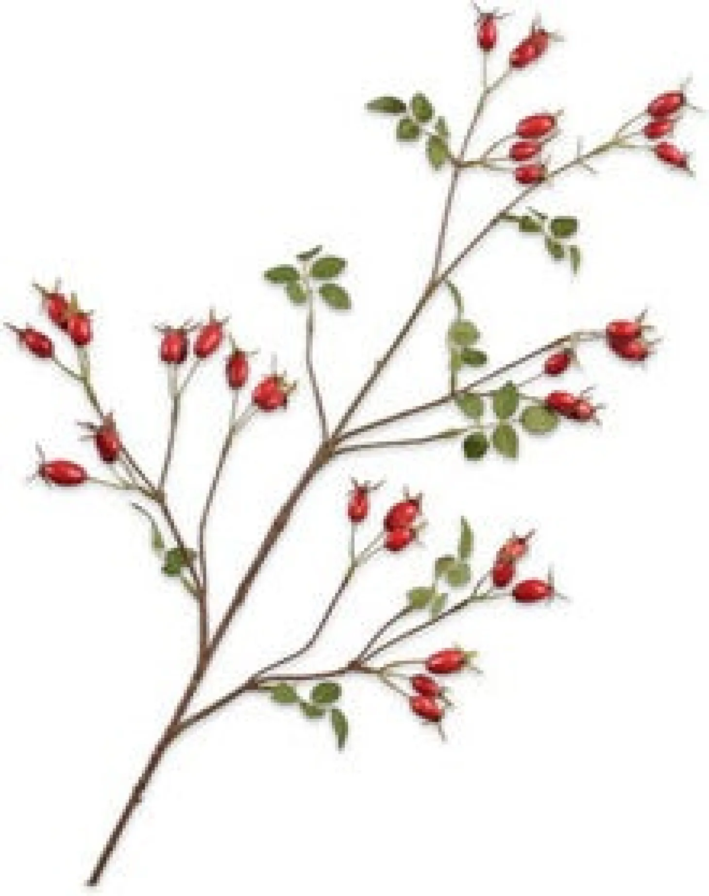 Silk-ka kunstbloem Rozenbottel rood 95 cm