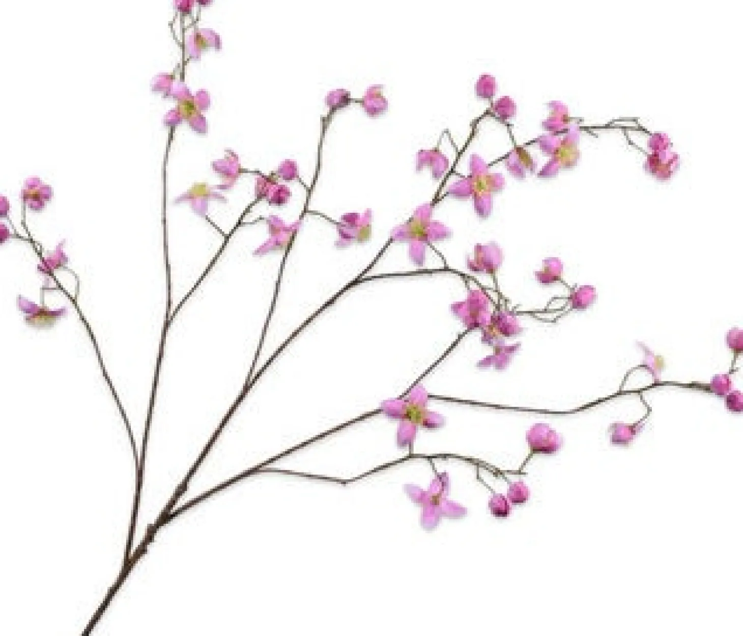 Silk-ka kunstbloem Ruit roze 104 cm