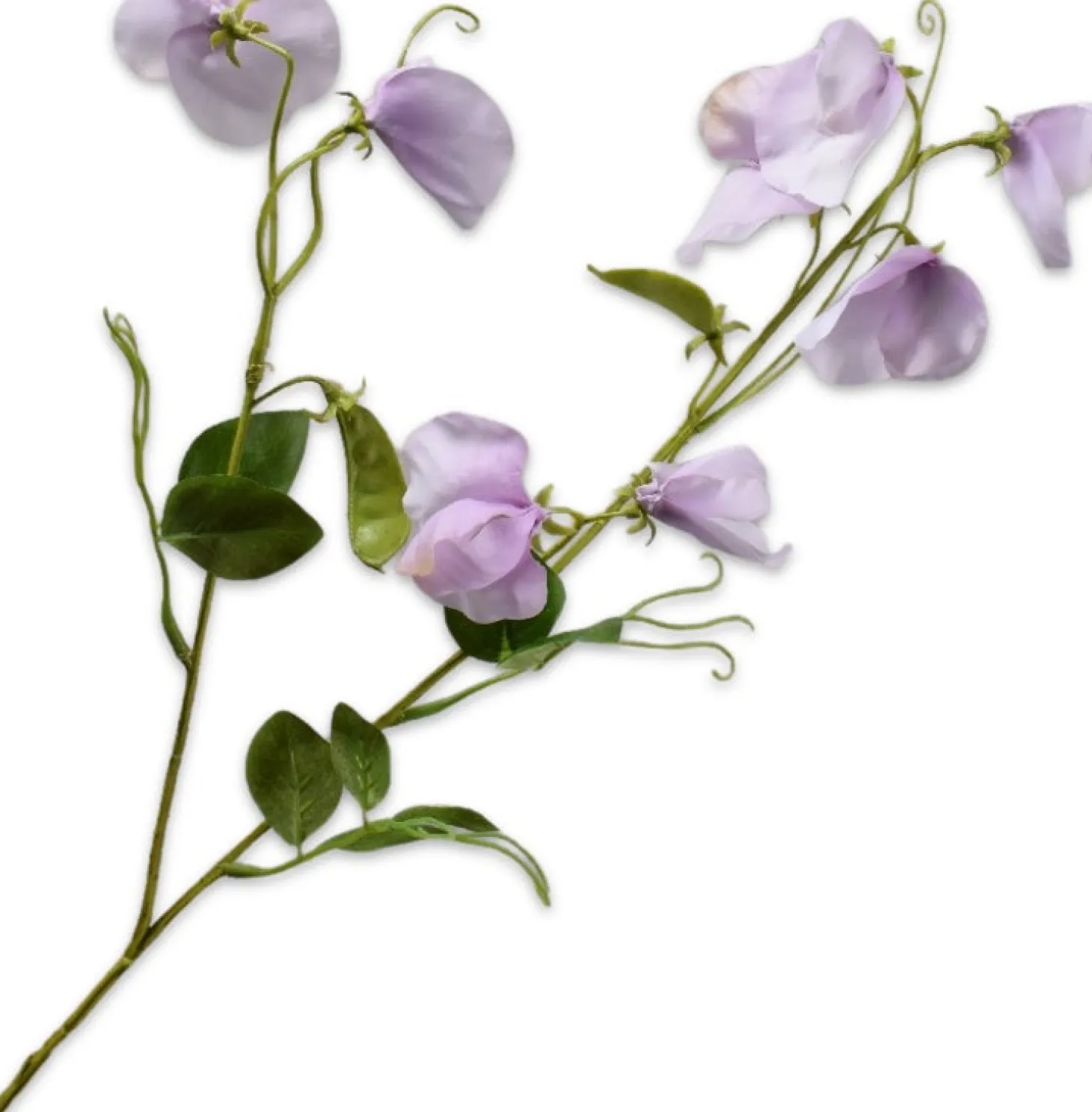 Silk-ka kunstbloem Siererwt paars 61 cm