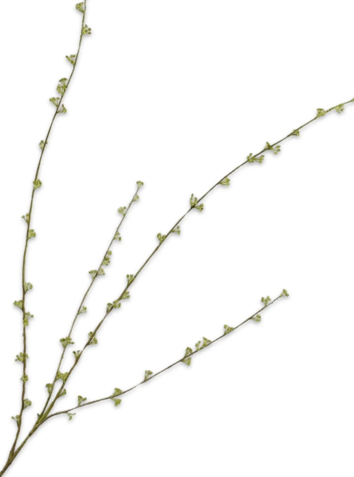 Silk-ka kunstbloem Spierstruik groen 121 cm