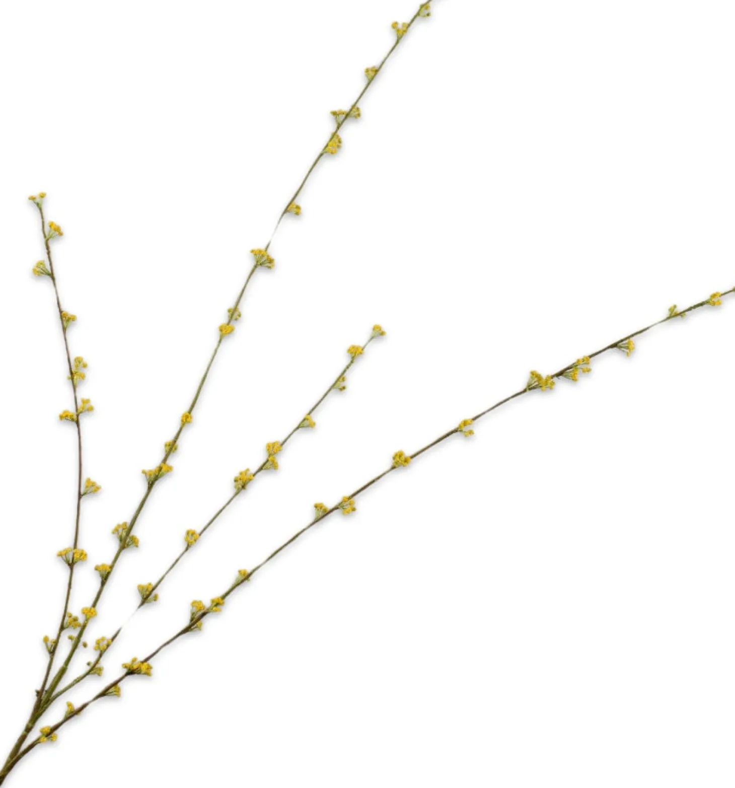 Silk-ka kunstbloem Spierstruik geel 121 cm