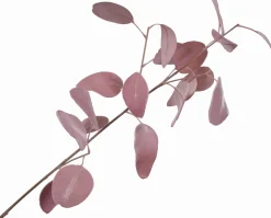 Silk-ka kunsttak Eucalyptus roze 76 cm