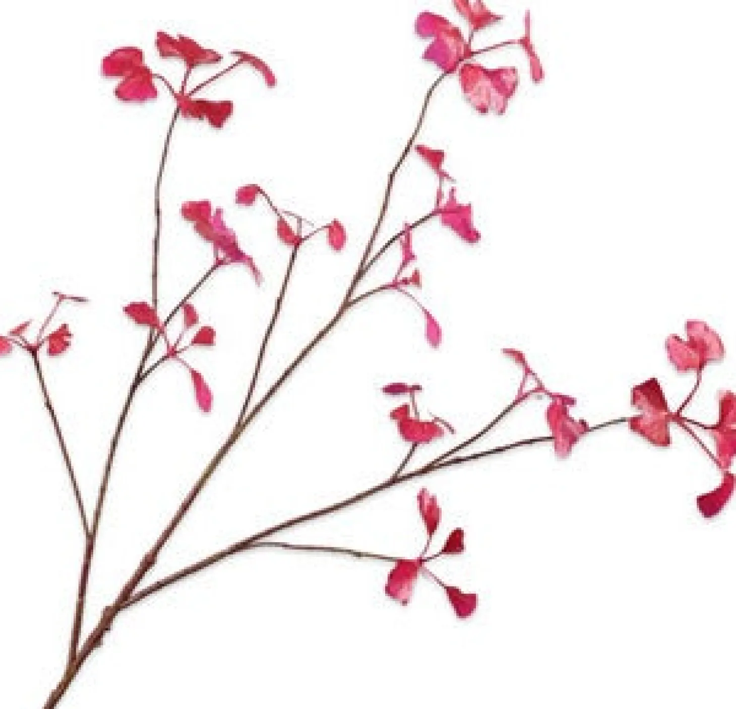 Silk-ka kunsttak Ginkgo paars 96 cm