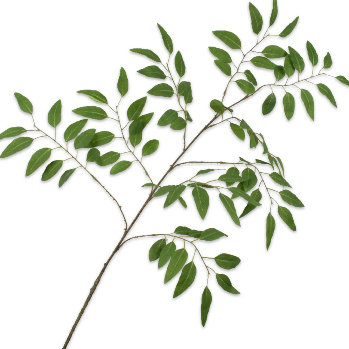 Silk-ka kunsttak Ligusterblad 139 cm