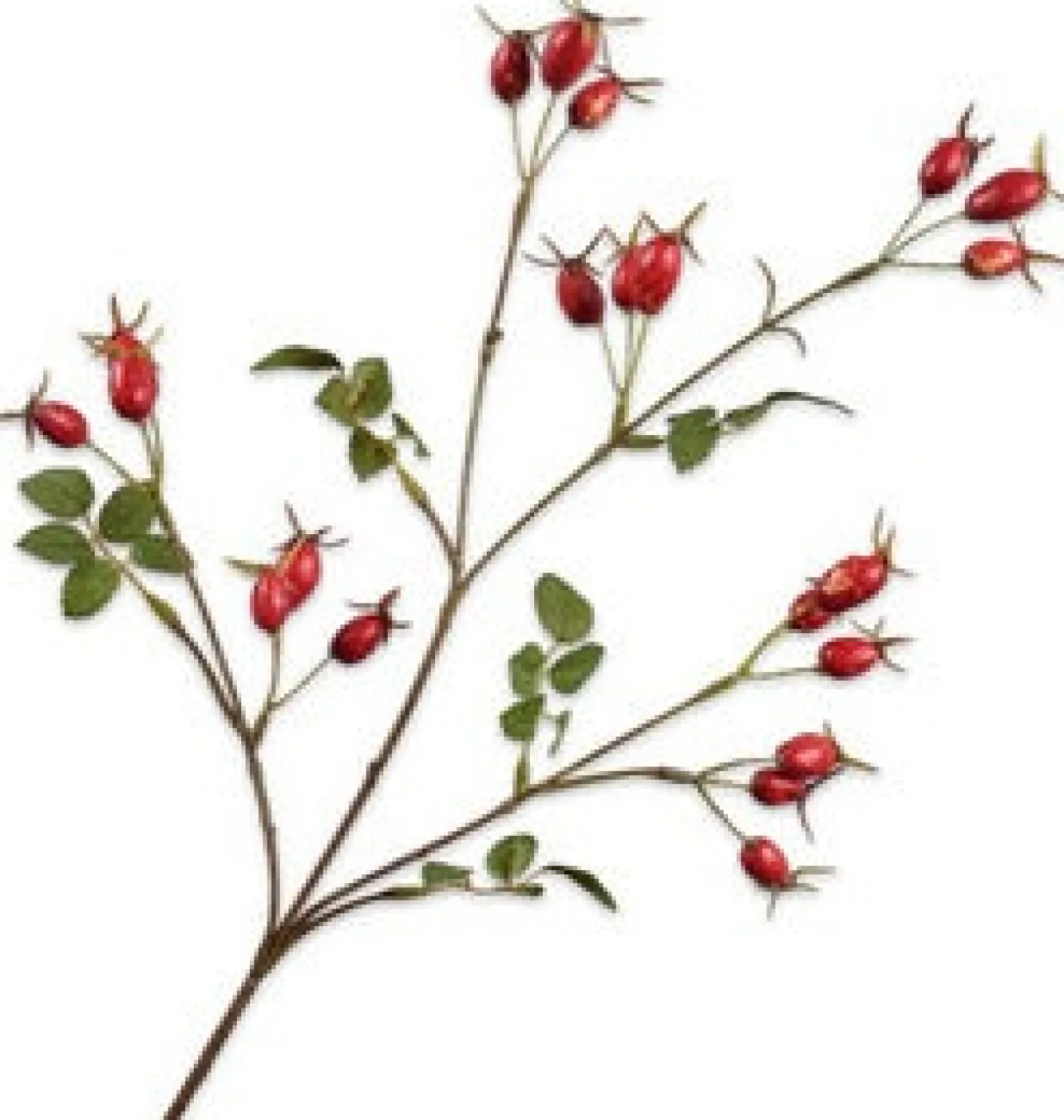 Silk-ka kunsttak Rozenbottel rood 67 cm