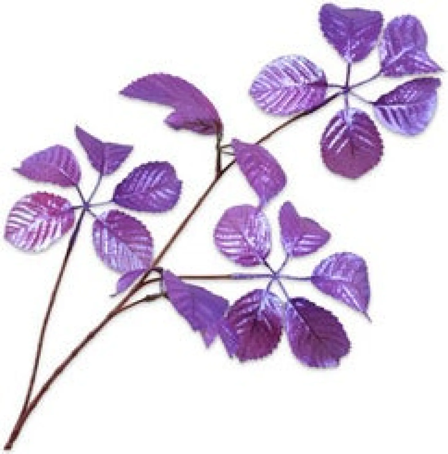 Silk-ka kunsttak Wilde Wingerd paars 74 cm
