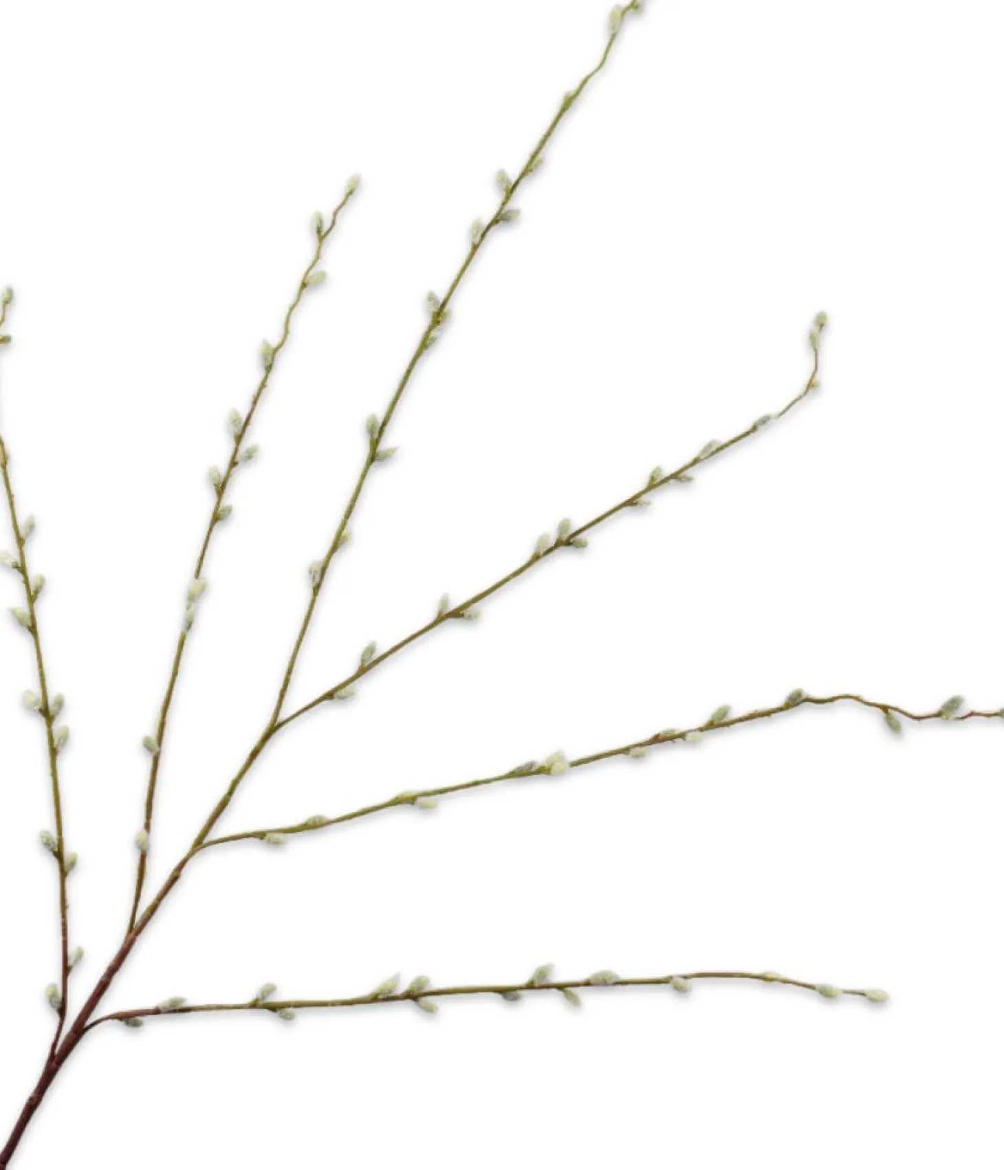 Silk-ka kunsttak Wilg 111 cm