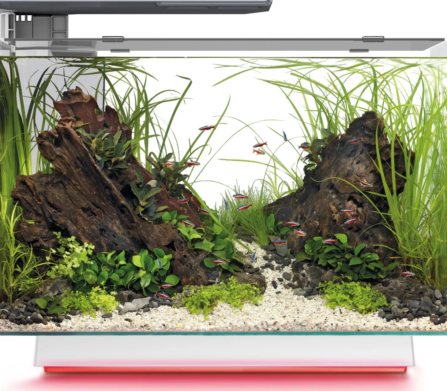 SuperFish aquarium Quadro 70 Multi Colour wit 67 L