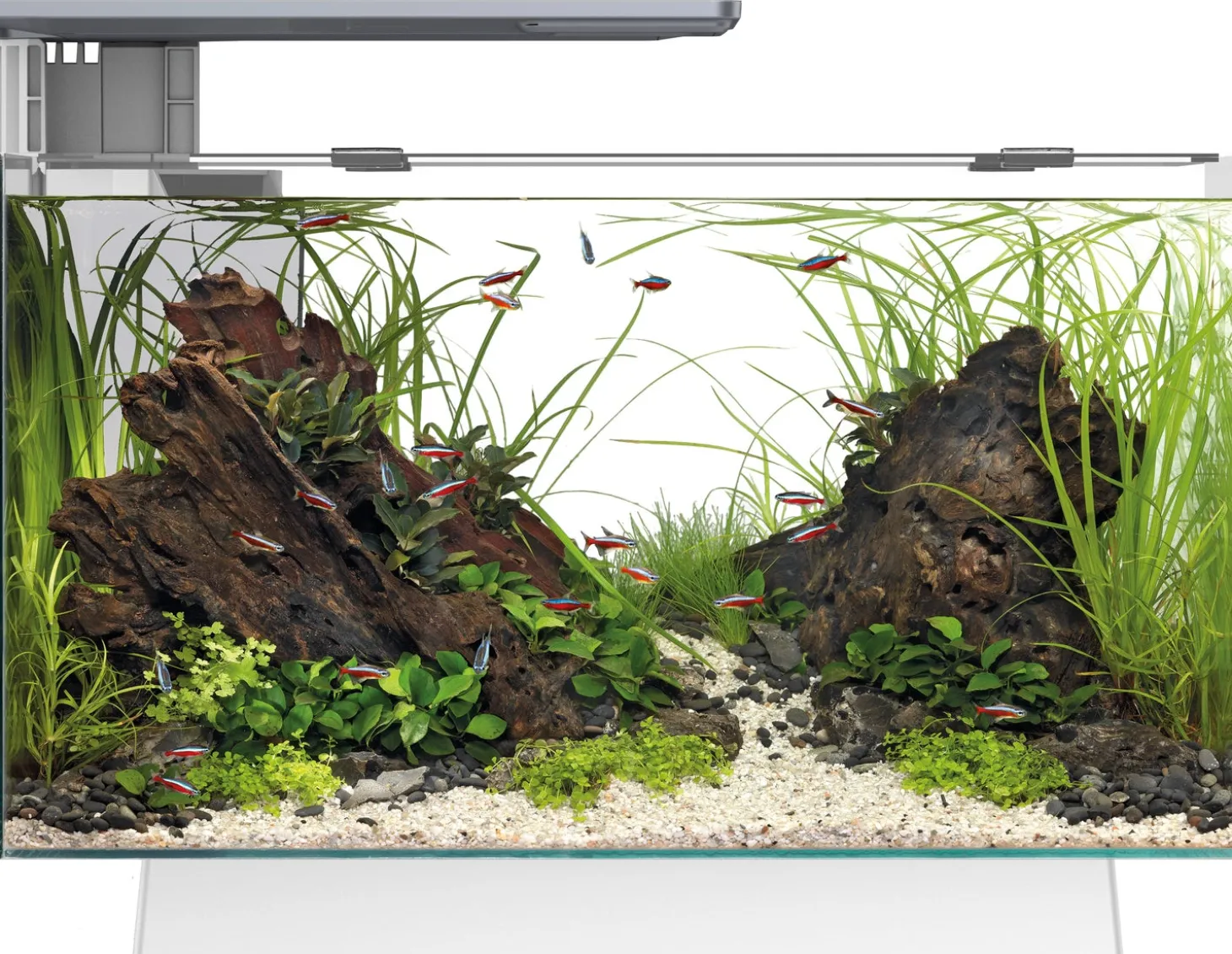 SuperFish aquarium Quadro 40 Multi Colour wit 28 L