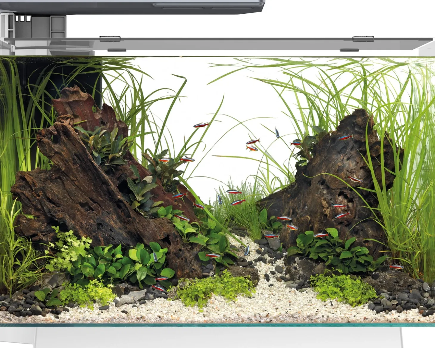 SuperFish aquarium Quadro 70 Pro wit 67 L