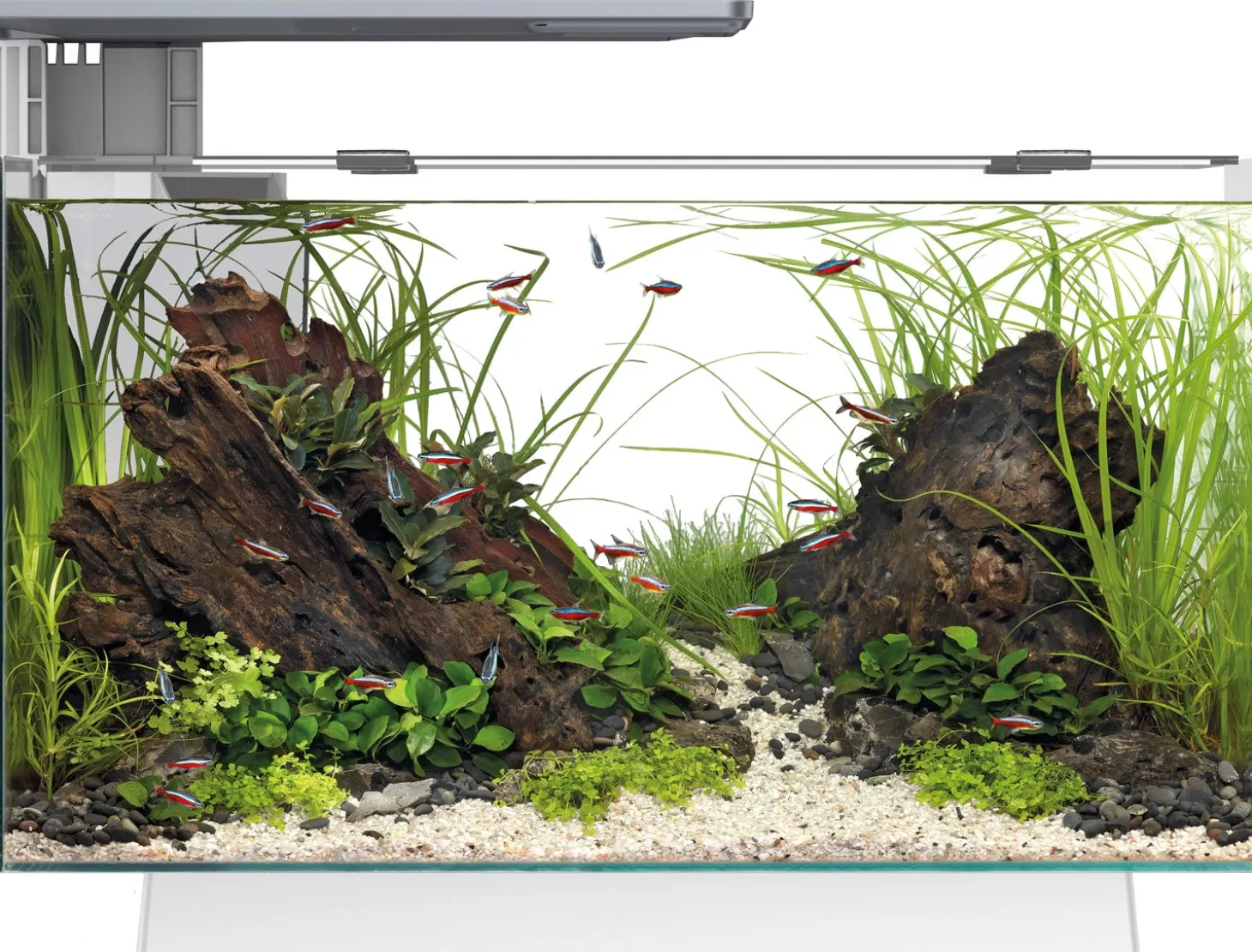 SuperFish aquarium Quadro 40 Pro wit 28 L