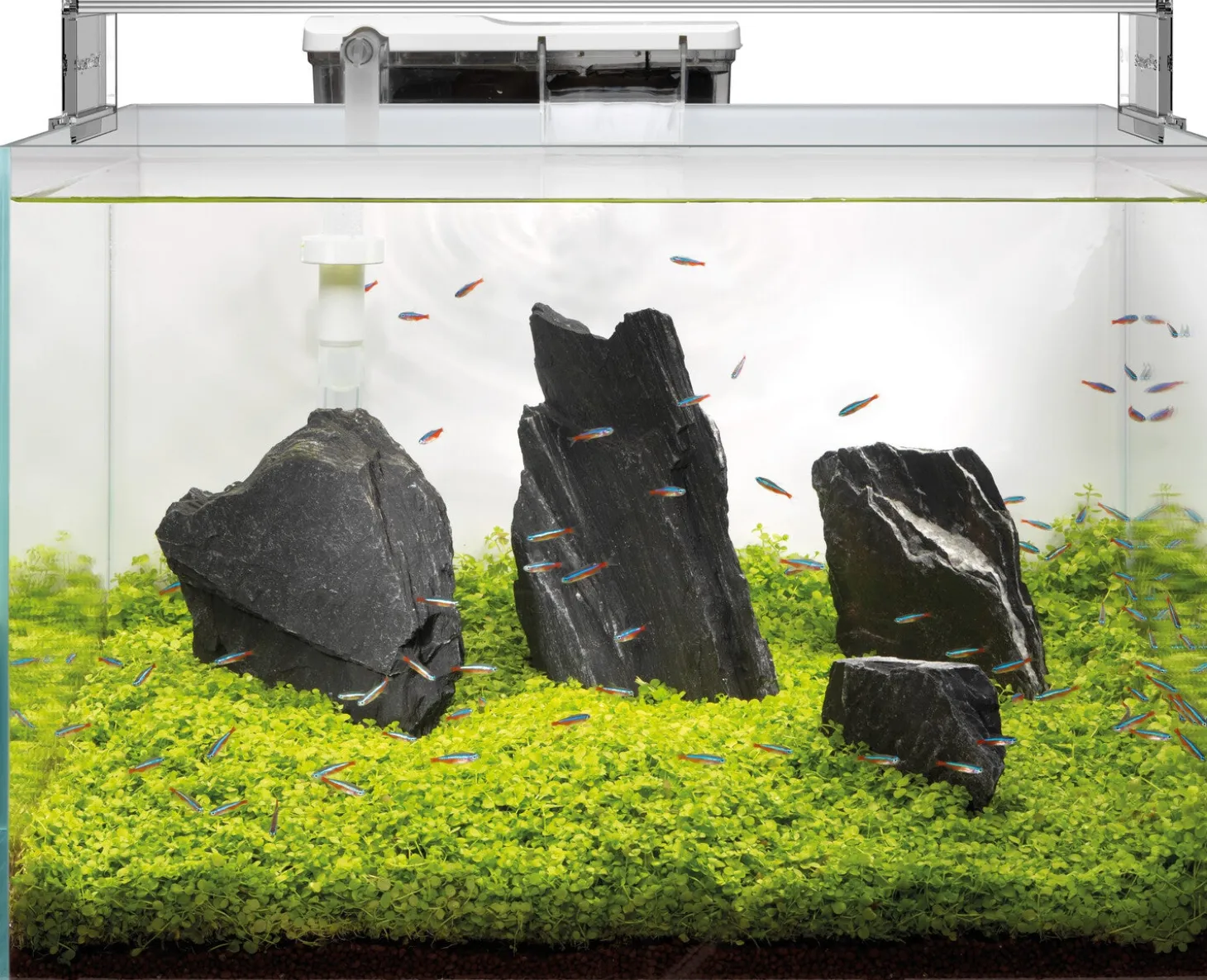 Superfish aquarium Scaper transparant 45 L