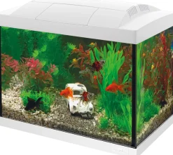 SuperFish aquarium Start 20 Goldfish Kit wit 20 L